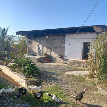 فروش خانه کلنگی 680متری در دابودشت بانصرکلا در گروه خرید و فروش املاک در مازندران در شیپور-عکس1