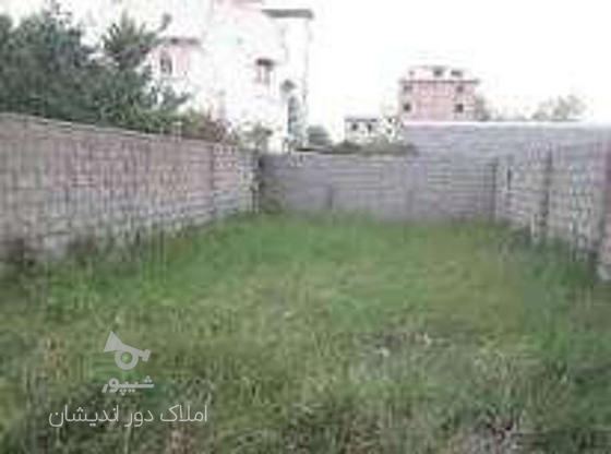 330متر زمین مسکونی  در گروه خرید و فروش املاک در مازندران در شیپور-عکس1