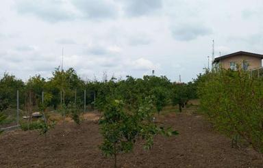 باغچه 1100متری با تمامی امکانات و امتیازات واقع در مشهدیکلا