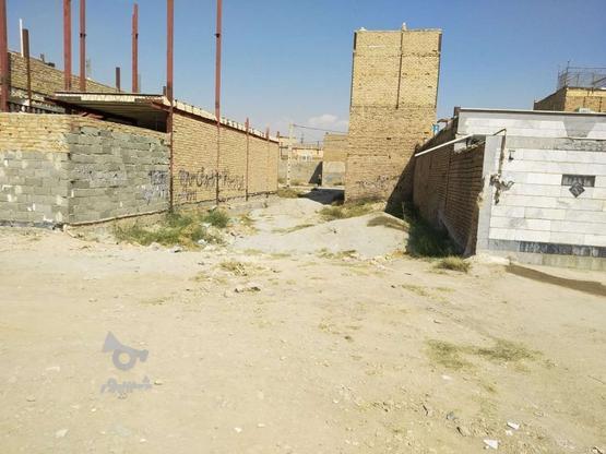 زمین قلفتی در گروه خرید و فروش املاک در البرز در شیپور-عکس1