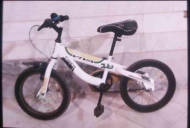 دوچرخه ویوا اصل ویتنام سایز 16 در گروه خرید و فروش ورزش فرهنگ فراغت در تهران در شیپور-عکس1