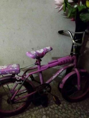 دوچرخه سالم دخترانه در گروه خرید و فروش ورزش فرهنگ فراغت در گیلان در شیپور-عکس1