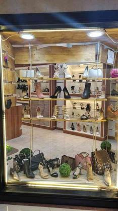 فروش عمده تعدادی کفش زنانه برند در گروه خرید و فروش خدمات و کسب و کار در البرز در شیپور-عکس1