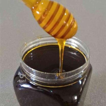 عسل سیاه جنگلی سردشت در گروه خرید و فروش خدمات و کسب و کار در تهران در شیپور-عکس1