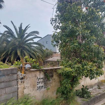 فروش زمین مسکونی 480 متر در ساحل سیترا در گروه خرید و فروش املاک در مازندران در شیپور-عکس1
