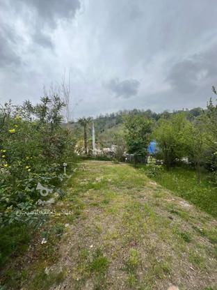 فروش زمین 600 متر روستا کتشال لاهیجان در گروه خرید و فروش املاک در گیلان در شیپور-عکس1