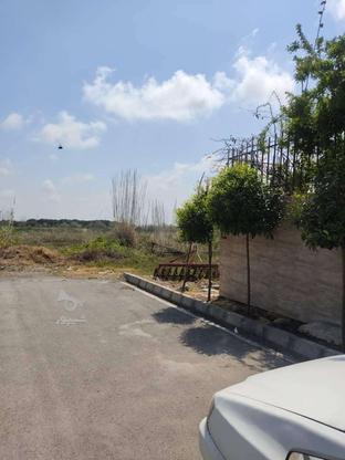 165 متر زمین در گروه خرید و فروش املاک در مازندران در شیپور-عکس1