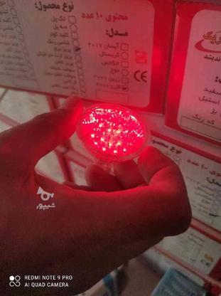 700عدد لامپ هالوژن در رنگ های مختلف در گروه خرید و فروش لوازم الکترونیکی در تهران در شیپور-عکس1