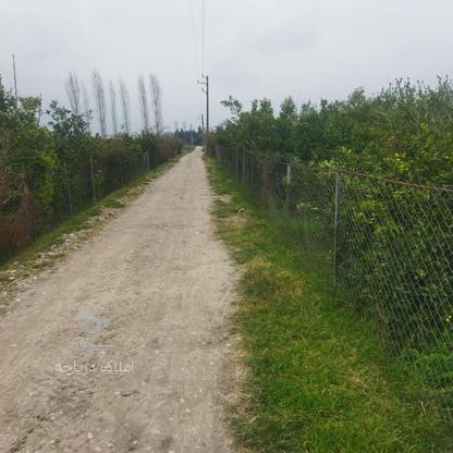 فروش زمین مسکونی 200 متر در جاده نظامی در گروه خرید و فروش املاک در مازندران در شیپور-عکس1