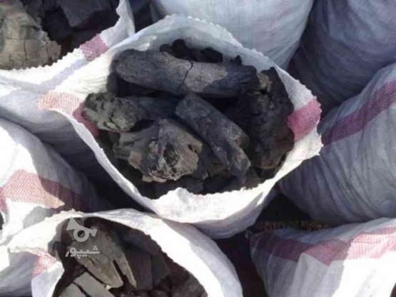 زغال کبابی جنگلی عمده در گروه خرید و فروش خدمات و کسب و کار در مازندران در شیپور-عکس1