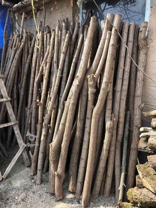 چوب اقاقیا برای دور کردن زمین در گروه خرید و فروش خدمات و کسب و کار در گیلان در شیپور-عکس1