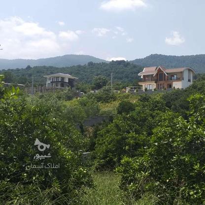 فروش زمین مسکونی 200 متر در طالش محله در گروه خرید و فروش املاک در مازندران در شیپور-عکس1