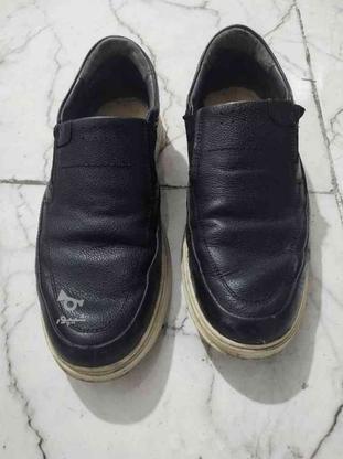 کفش چرم کار کرده بدون ایراد در گروه خرید و فروش لوازم شخصی در تهران در شیپور-عکس1