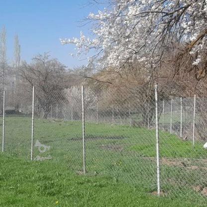 فروش زمین 700متراملاک خانه‌ی سبزطالقان در گروه خرید و فروش املاک در البرز در شیپور-عکس1