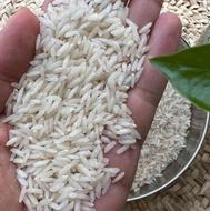 فروش برنج مستقیم از کشاورز تولید کننده