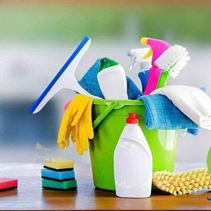 شرکت خدماتی و نظافتی گل کندم در گروه خرید و فروش خدمات و کسب و کار در البرز در شیپور-عکس1