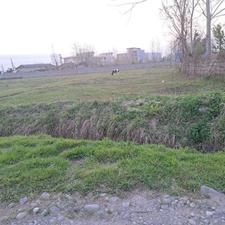 250 مترزمین مسکونی نزدیک اتوبان رشت لاهیجان لولمان