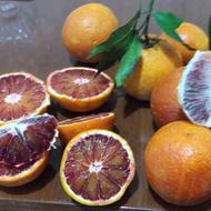 پرتقال توسرخ تازه چین