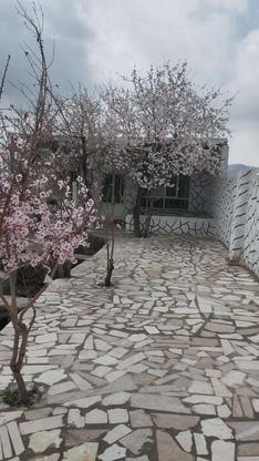 باغ 900 متری در صوفیان در گروه خرید و فروش املاک در آذربایجان شرقی در شیپور-عکس1