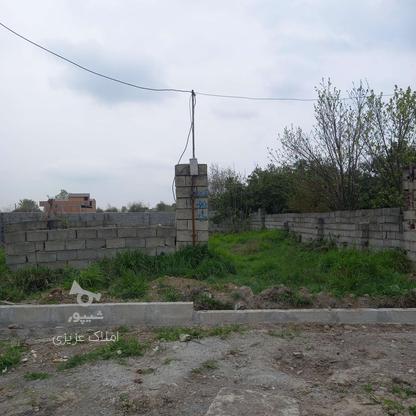 فروش زمین مسکونی 150 متر در قائمشهر سارکلا در گروه خرید و فروش املاک در مازندران در شیپور-عکس1