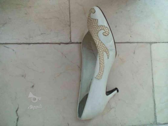 کفش زنانه مجلسی مناسب سایز37و36 در گروه خرید و فروش لوازم شخصی در تهران در شیپور-عکس1