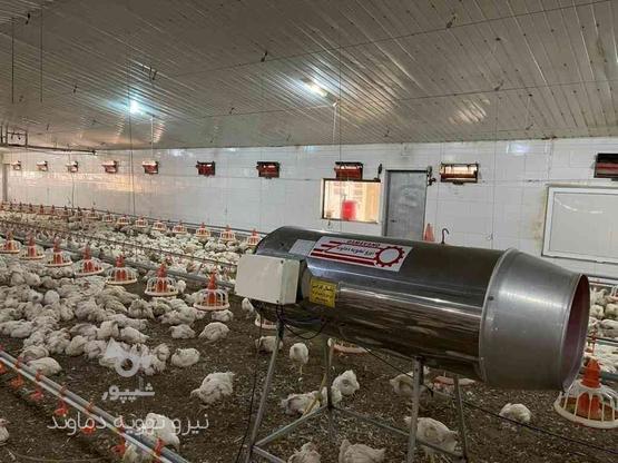 جت هیتر 100 هزار دوگانه سوز مرغداری در گروه خرید و فروش صنعتی، اداری و تجاری در اردبیل در شیپور-عکس1