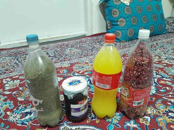 تخم انار،رب انار،سبزی خشک،آب نارنج . در گروه خرید و فروش خدمات و کسب و کار در تهران در شیپور-عکس1
