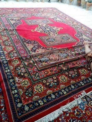 فرش 12متری سالم تمیز در گروه خرید و فروش لوازم خانگی در مازندران در شیپور-عکس1