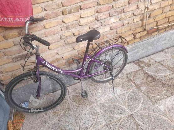 دوچرخه 24 سالم در گروه خرید و فروش ورزش فرهنگ فراغت در البرز در شیپور-عکس1