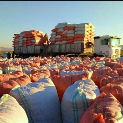 ⏪کاه گندم دیم عمده کرمانشاه⏩ در گروه خرید و فروش خدمات و کسب و کار در یزد در شیپور-عکس1