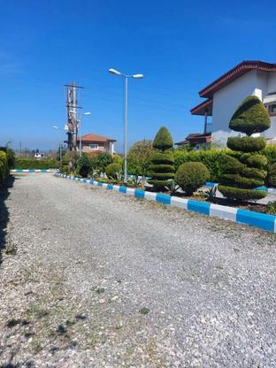 فروش زمین مسکونی 470 متر در ونوش3بر پلاک 1جنگل در گروه خرید و فروش املاک در مازندران در شیپور-عکس1