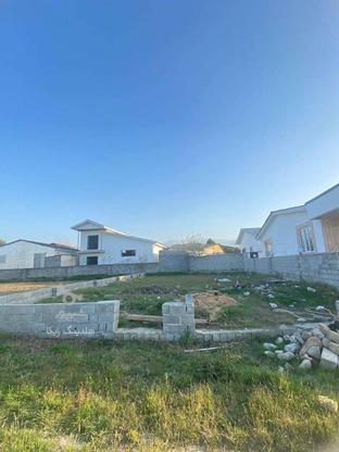 فروش زمین مسکونی 250 متر در الیمالات در گروه خرید و فروش املاک در مازندران در شیپور-عکس1