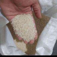 برنج خوش دم سیاه