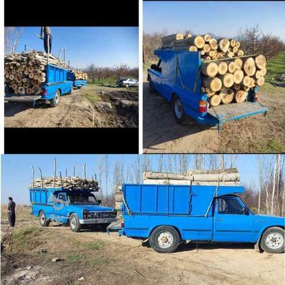 خرید انواع چوب در گروه خرید و فروش خدمات و کسب و کار در آذربایجان غربی در شیپور-عکس1