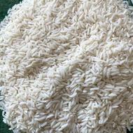 برنج طارم هاشمی بوجاری شده فریدونکنار