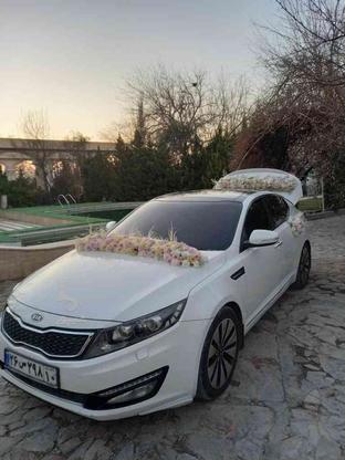 اجاره ماشین عروس در گروه خرید و فروش وسایل نقلیه در البرز در شیپور-عکس1
