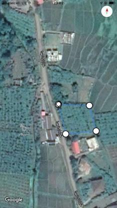 زمین مسکونی تقریبا 1300 متر در گروه خرید و فروش املاک در گیلان در شیپور-عکس1