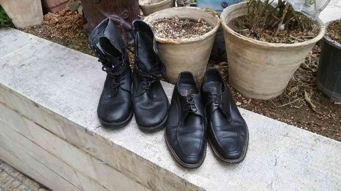 پوتین و کفش مجلسی چرم در گروه خرید و فروش لوازم شخصی در تهران در شیپور-عکس1