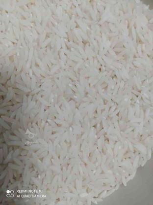 برنج طارم هاشمی خالص در گروه خرید و فروش خدمات و کسب و کار در تهران در شیپور-عکس1