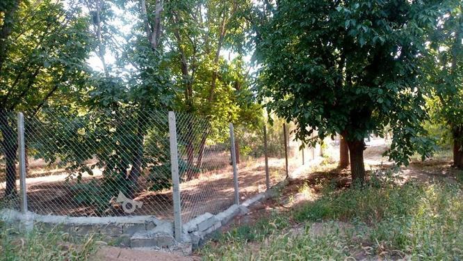 باغ 3000 متر با مجوز.فنس شده و آب دائمی و همیشگی .سی سال باغ در گروه خرید و فروش املاک در کرمانشاه در شیپور-عکس1