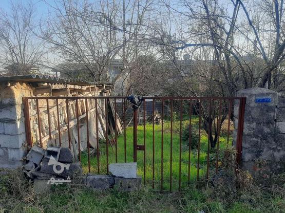 فروش زمین دیوار کشی شده داخل بافت در گروه خرید و فروش املاک در مازندران در شیپور-عکس1