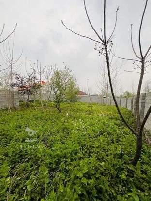 فروش زمین مسکونی 275 متر در مرکز شهر در گروه خرید و فروش املاک در گیلان در شیپور-عکس1