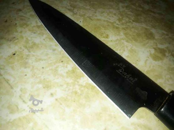 چاقو حرفه ای Dafni در گروه خرید و فروش لوازم خانگی در تهران در شیپور-عکس1
