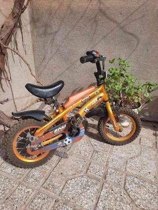 دوچرخه کوچک 2800وبزرگ2300 در گروه خرید و فروش ورزش فرهنگ فراغت در همدان در شیپور-عکس1