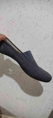 دوجفت کفش نونونو در گروه خرید و فروش لوازم شخصی در کردستان در شیپور-عکس1