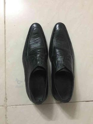 دو جلت کفش ستیز 41 در حد نو در گروه خرید و فروش لوازم شخصی در اصفهان در شیپور-عکس1