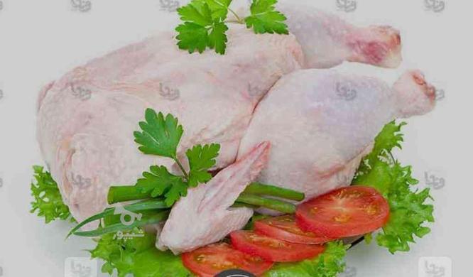 فروش عمده ‌و خرده مرغ کشتار رو دهکده ارسال با پیک رایگان