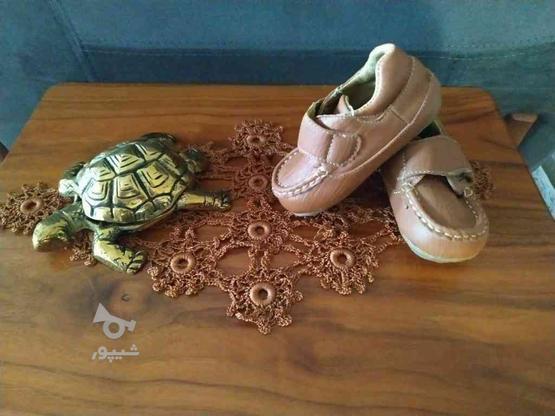 کفش بچه گانه و زنانه نو در گروه خرید و فروش لوازم شخصی در البرز در شیپور-عکس1