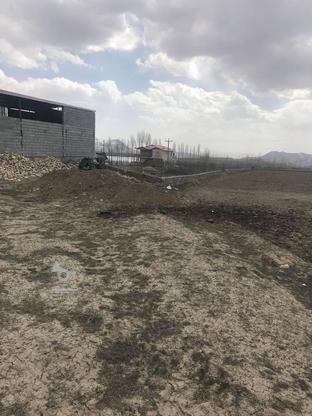 زمین مزروعی جهت مغازه املاکی در گروه خرید و فروش املاک در آذربایجان شرقی در شیپور-عکس1