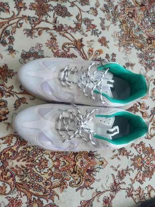 کفش مردانه نو در گروه خرید و فروش لوازم شخصی در کردستان در شیپور-عکس1